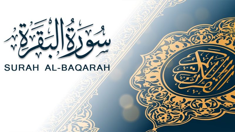 2. SURJA “EL BEKARE” – LOPA – Rruget e Paqes